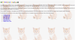 Desktop Screenshot of hutsvilleads.com
